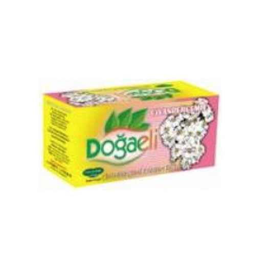 Civanperçemli Civanperçemli