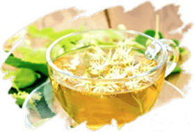 adil-kayisoglu-bitkisel-caylar