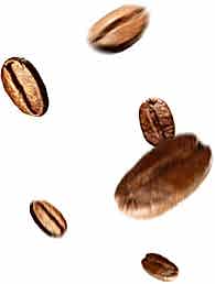 adil-kayisoglu-kahve