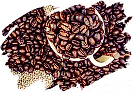 adil-kayisoglu-kuru-kahve