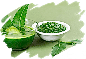 adil-kayisoglu-macunlar