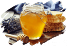 adil-kayisoglu-sarkuteri