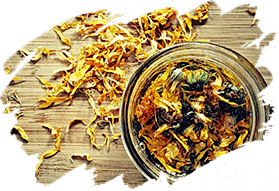 adil-kayisoglu-sifali-bitkiler