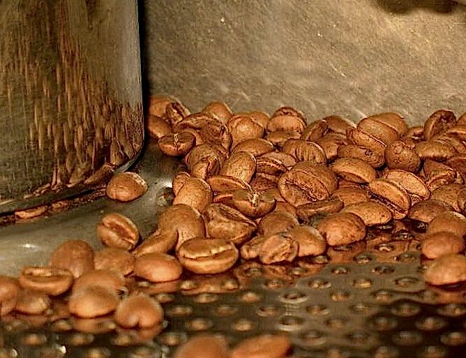 adil-kayisoglu-uretim3