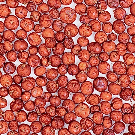 Ardıç Tohumu Ardıç Tohumu