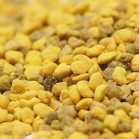 Arı Poleni Arı Poleni