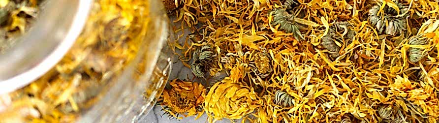 bitkisel-yaglarin-ozellikleri-adil-kayisoglu