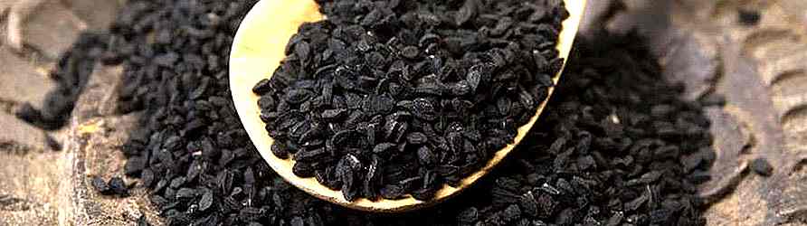 corek-otu-yagi-adil-kayisoglu