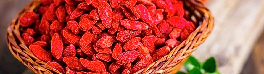 goji-berry-adil-kayisoglu