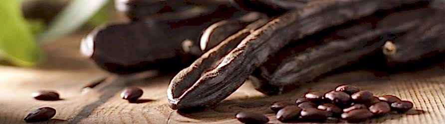 keciboynuzu-adil-kayisoglu