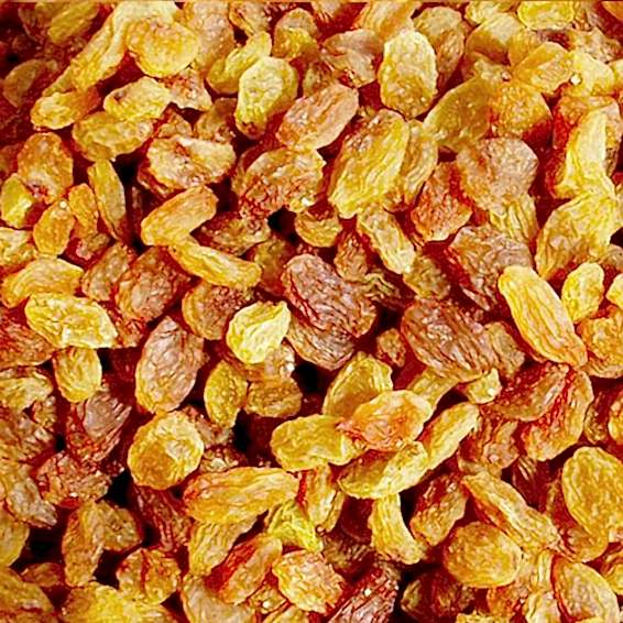 Kuru Üzüm Kuru Üzüm