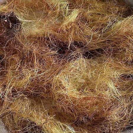 Mısır Püskülü Mısır Püskülü