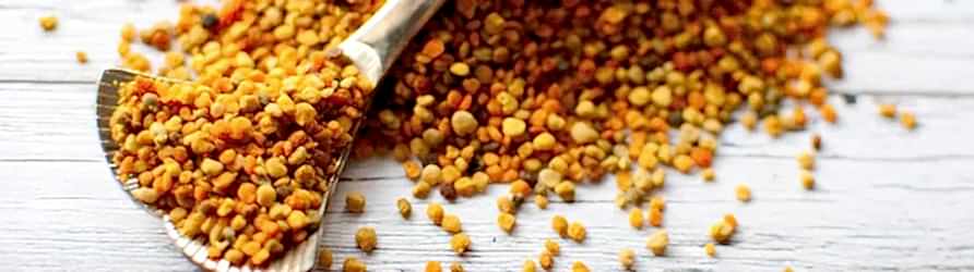 propolis-adil-kayisoglu