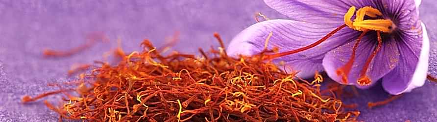 safran-adil-kayisoglu