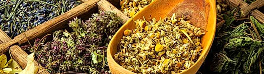 sifali-bitkiler-adil-kayisoglu