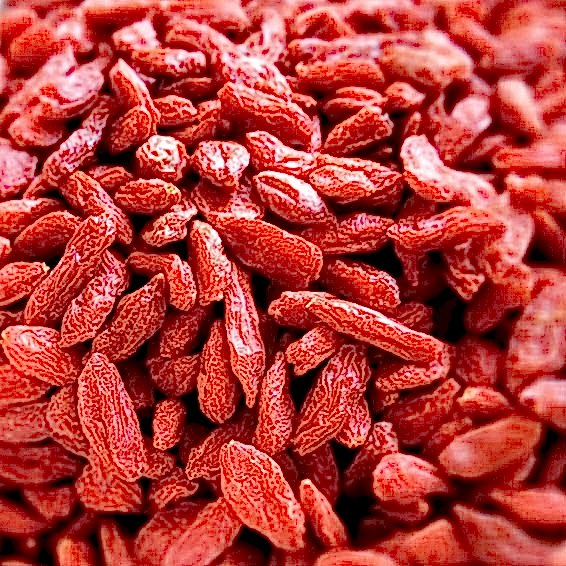 Yaban Mersini Yaban Mersini