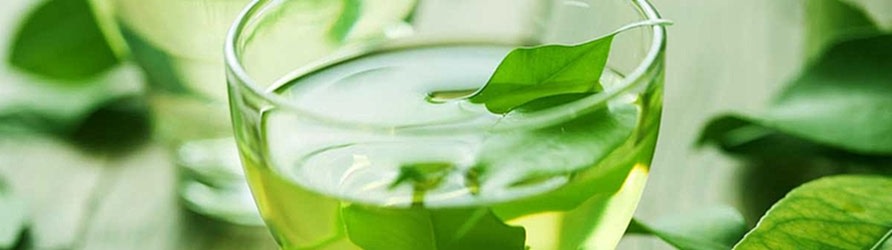 yesil-cay-adil-kayisoglu