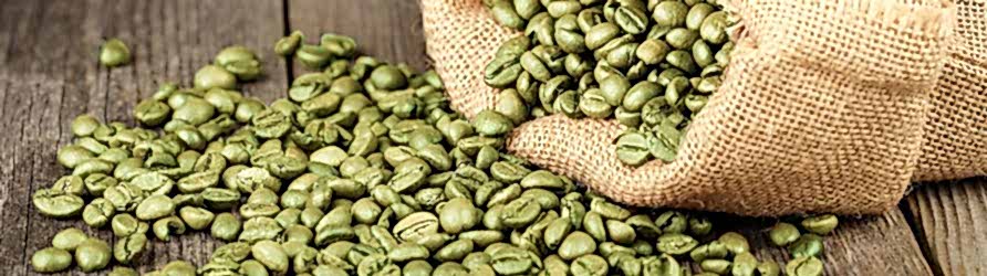 yesil-kahve-adil-kayisoglu