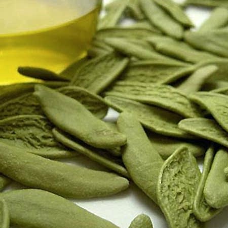 Zeytin Yaprağı Zeytin Yaprağı